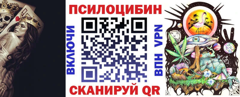 Купить где  Зубцов  Псилоцибиновые грибы Psilocybine cubensis 